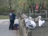2011040701150058_k-Zoo 196.jpg